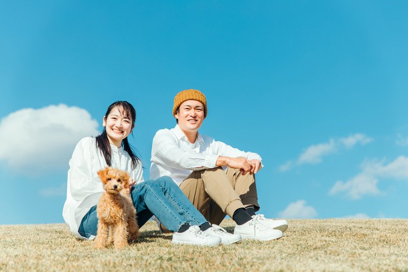 まとめ：鹿児島県の太陽光発電補助金2026年版